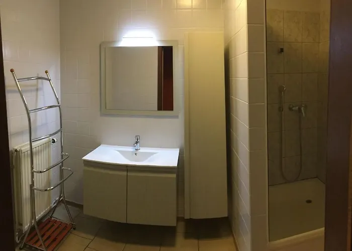 A Large Family House *